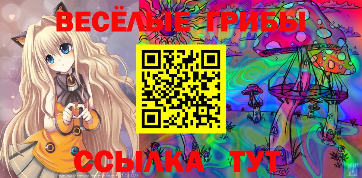 закладка  Вход с VPN  Гуково  Галлюциногенные грибы Cubensis 