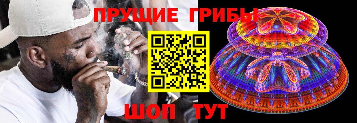 Галлюциногенные грибы Magic Shrooms Гуково
